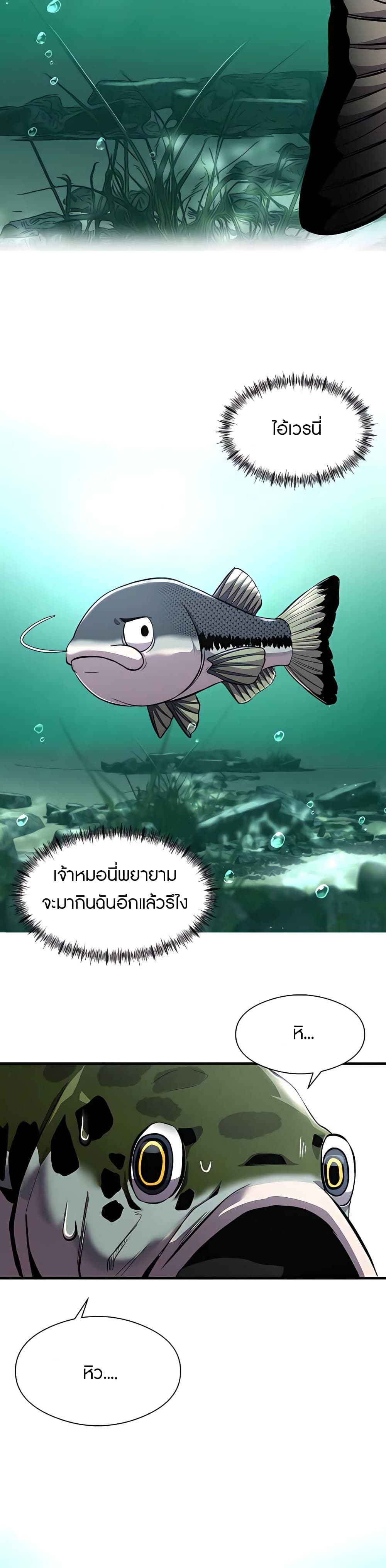Fish4 28