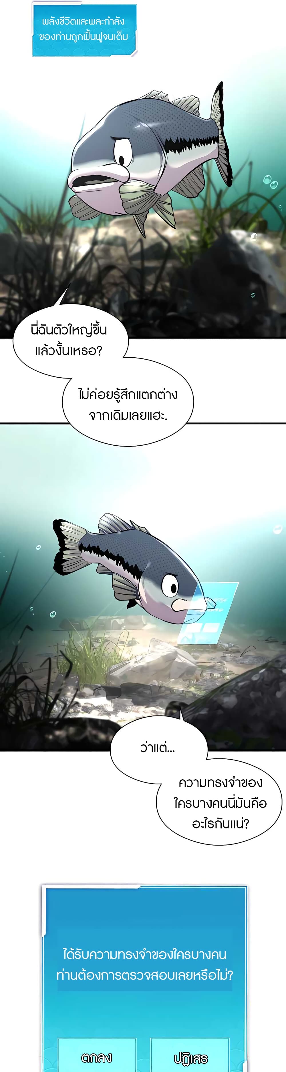 Fish3 37